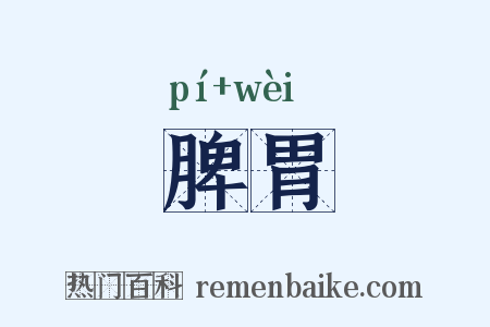 脾胃是什么意思的图片